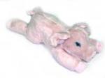 pig-tn.jpg