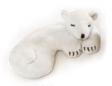 polar-bear-ep-tn.jpg